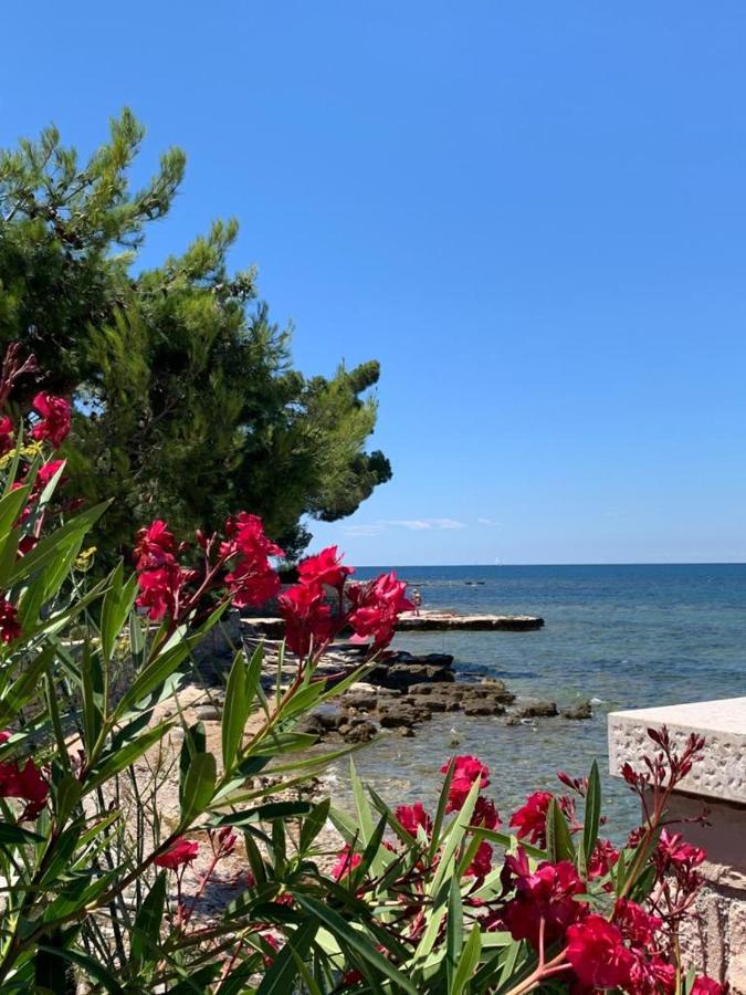Apartments Valentina Umag Dış mekan fotoğraf